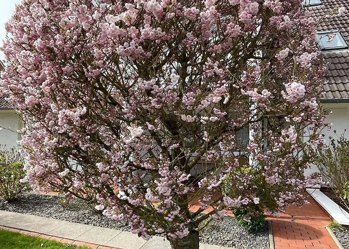 Feriengarten - B02 * Büsum